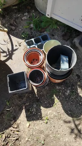 Pot divers