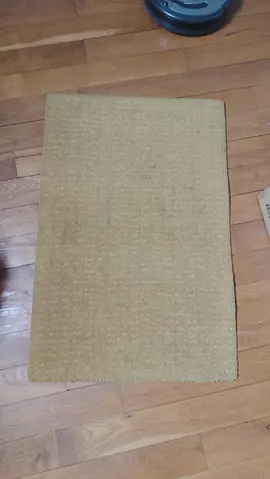 Tapis à nettoyer