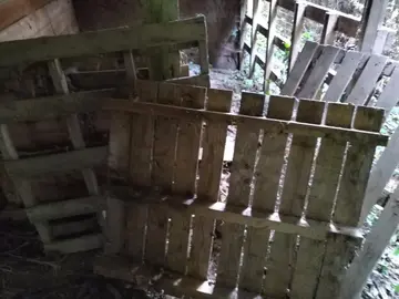 palettes bois