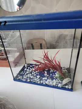 aquarium