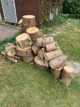 bois de sapin en 49/50 cl sur leognan