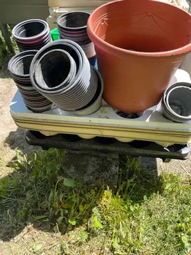 lot de pots pour semis