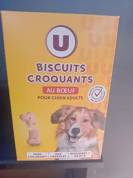 biscuit pour chien