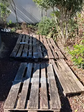Palettes à donner