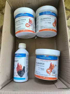 aliments complémentaires pour poules