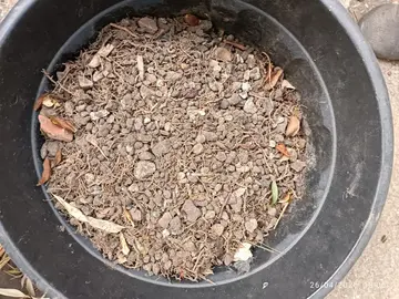 17 kg de gravier et cailloux de jardin