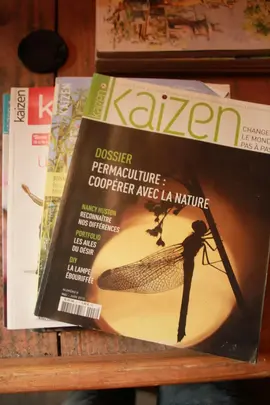 Revues Kaïzen