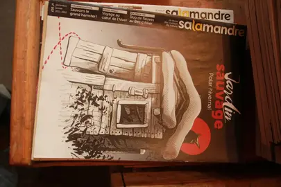 Lot revues "La salamandre"