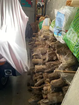 bois pour cheminée