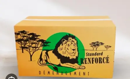 cartons déménagement