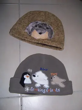 2 BONNETS