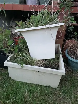 2 jardinières blanc cassé