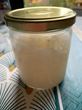 grains de kefir