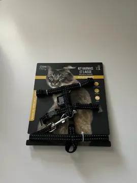 harnais de chat