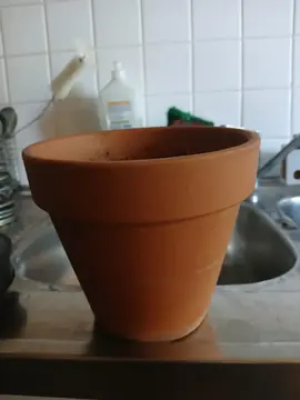 pot de fleur