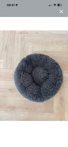 panier pour petit chien