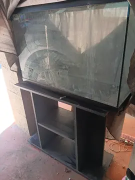 donne aquarium et meuble