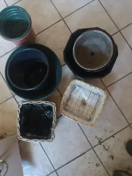 pots de fleur