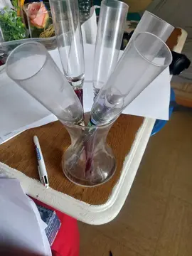 coupes de champagne + pot