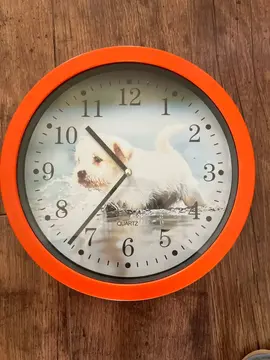 Horloge mural Orange/ motif chien