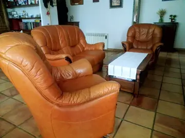 salon cuir + table basse