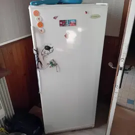 Frigo avec fraizer