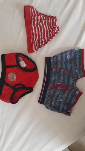 2 slips et 1 boxer 6 ans