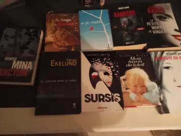 Lot de livres