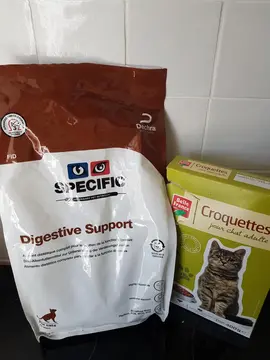 Croquettes pour chat