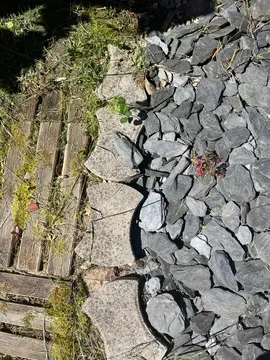 brique