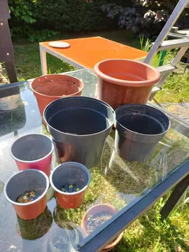 lot pots plastique