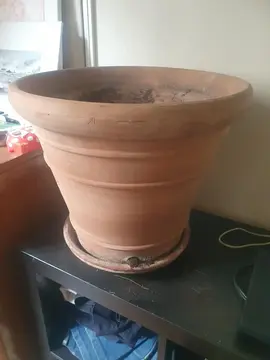 grand pot pour arbre fleur etc 43 cm diamètre