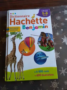 dictionnaire
