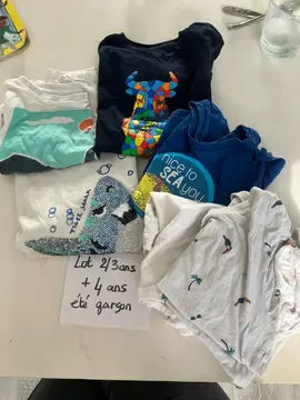 lot tshirts 2/3/4 ans un peu tachés mais bon etat