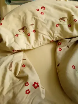 coussin d'allaitement déhoussable