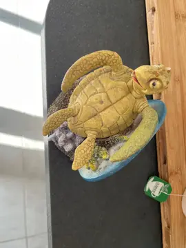 décoration aquarium