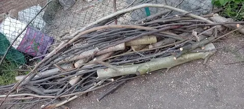 gros lot de bois