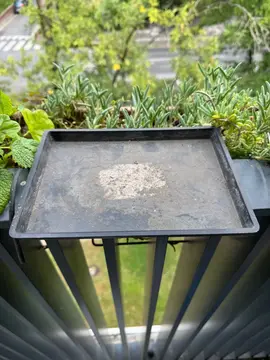 Soucoupe de plat bonsaï en plastique 21 cm