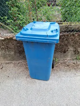 bac bleu