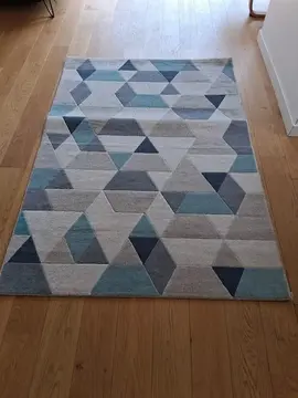 tapis (170 x 120)