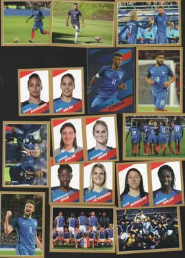 Autocollant Panini/Carrefour fier d'etre bleus