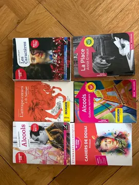 Romans Classiques - Bac Francais