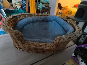 panier chat ou petit chien