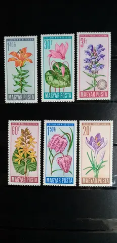 Timbres
