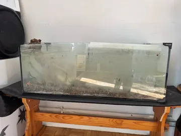 aquarium