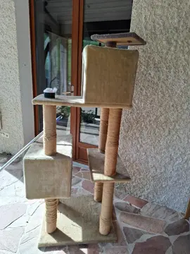 arbre à chat