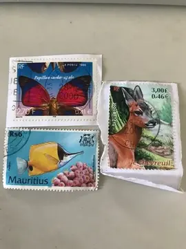 3 timbres Animaux