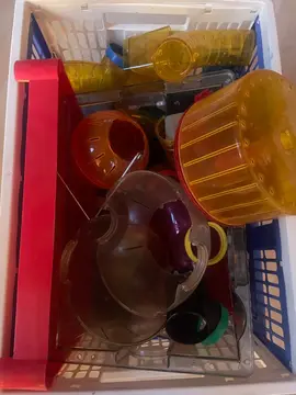 cage en plexi- pour petit hamster