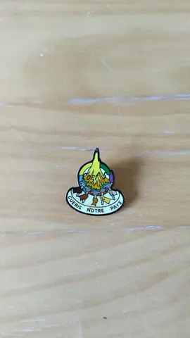 pin's "Guéris ce pays"