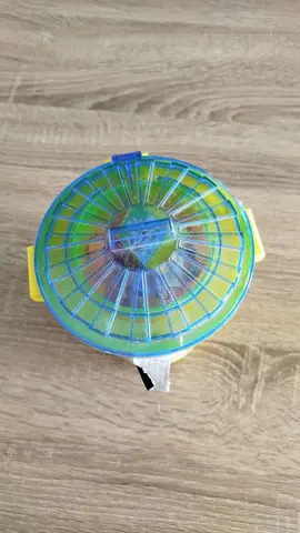 joué pour enfants